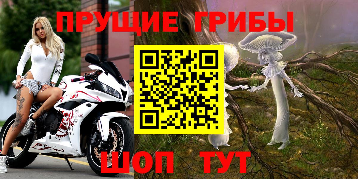 Алапаевск  Галлюциногенные грибы Psilocybe  Вход с VPN 